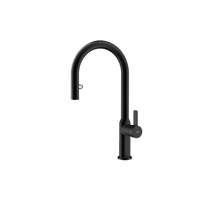 Teka Single lever kitchen tap with hidden pull-out and oval body