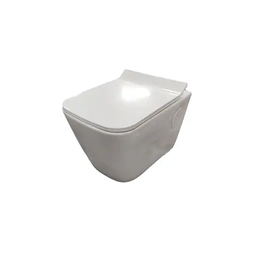 Pranz Wall Hung Water Closet With UF Seat Cover Faucini